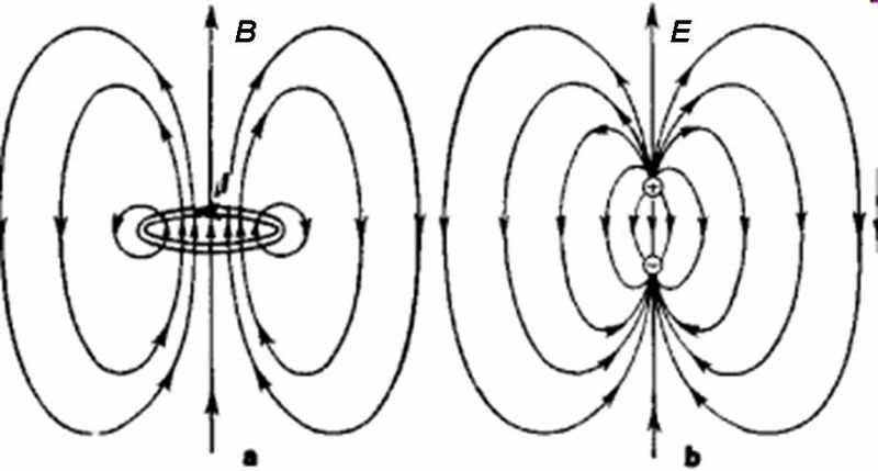 Поле витка. Поле магнитного диполя. Магнитная индукция диполя. Магнитный диполь во внешнем магнитном поле. Электромагнитное поле диполя.