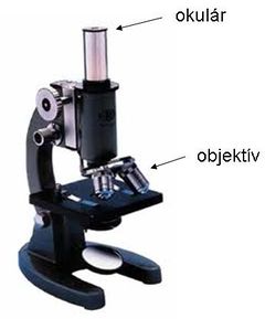 Mikroszkóp 1.jpg